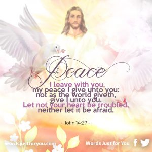 John 14:27
