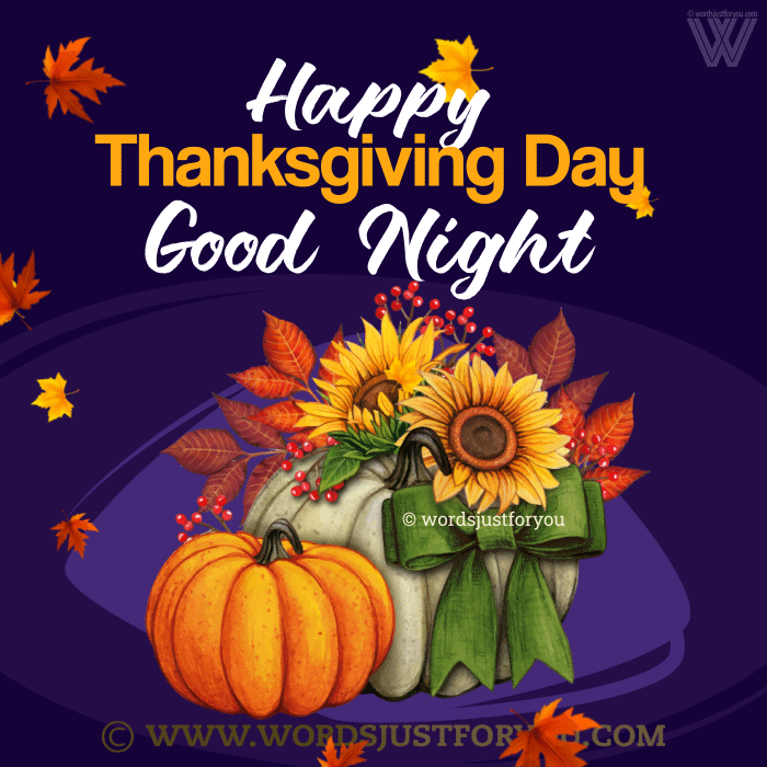 Happy Thanksgiving Good Night Gif - Happy Thanksgiving Gif
