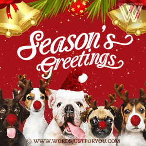 Beautiful Season'S Greeting Gif - Season'S Greetings Gif