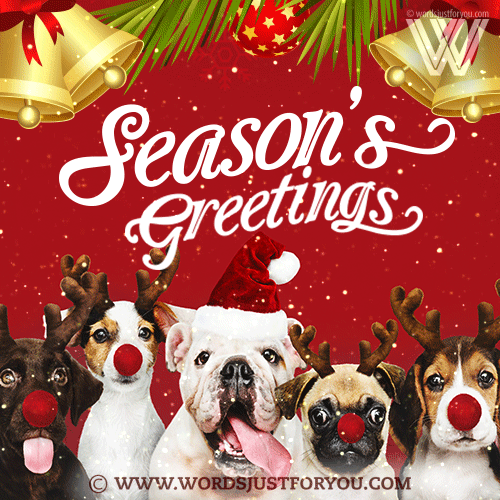 Beautiful Season's Greeting Gif - Season's Greetings Gif