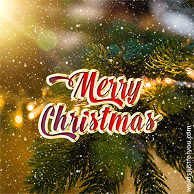 Merry Christmas GIF