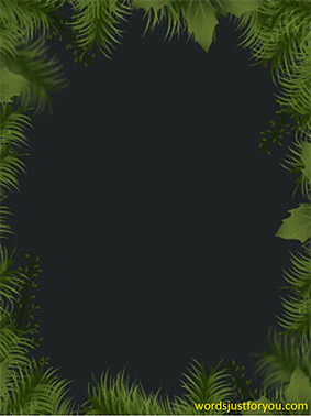 Merry Christmas Gif