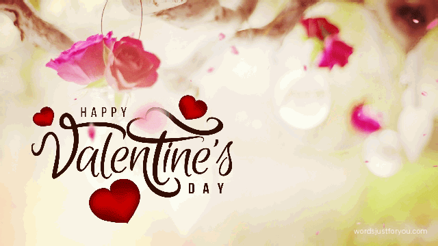 Happy Valentines Day Gif