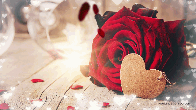 Falling Rose Petals Happy Valentines Day Gif With Red Rose