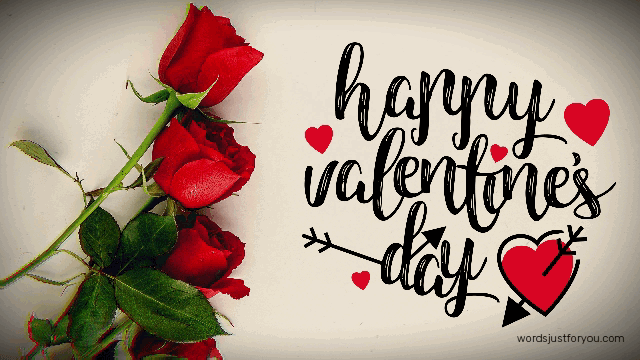 Happy Valentines Day Gif