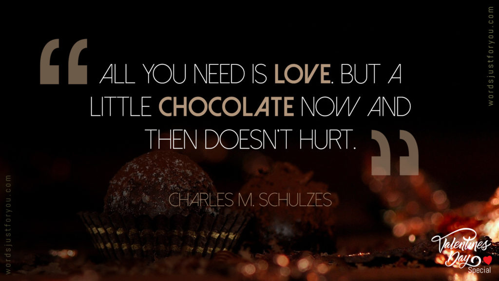 Funny Love Quote Valentines Day Quote