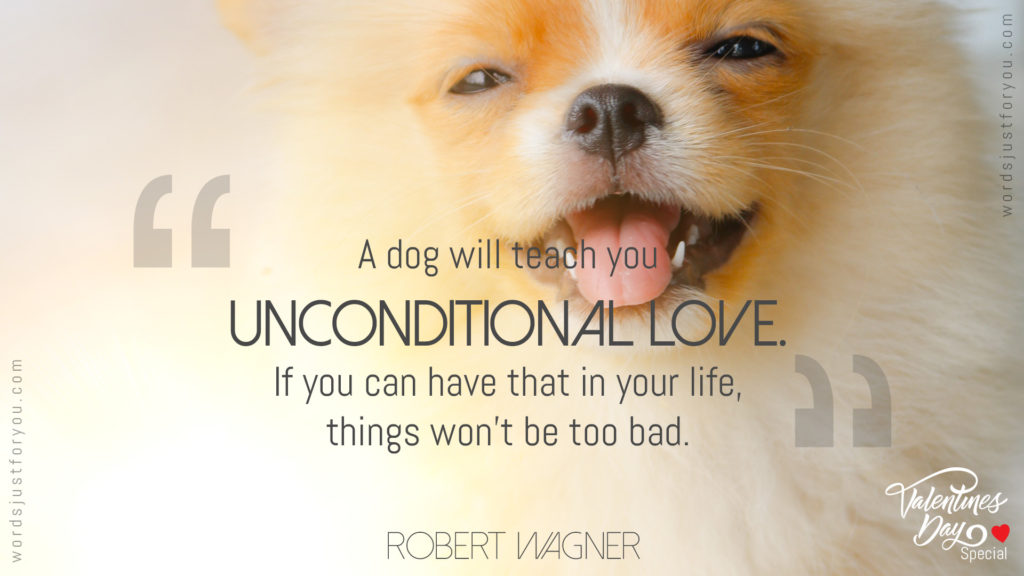 Valentines Day Quote