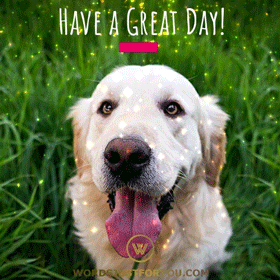 Have A Great Day Gif