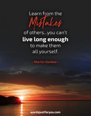 Learn From The Mistakes Of Others - Quote By Martin Vanbee