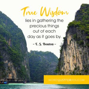 True Wisdom Lies In Gathering The Precious Things Out Of Each Day As It Goes By. Quote By ~ E. S. Bouton ~