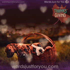 Cute Thanksgiving Thank You Gif