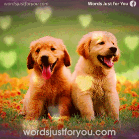 Cute Animated Thanksgiving Gif
