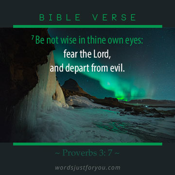 Bible Verse On Departing Evil: Proverbs 3 : 7