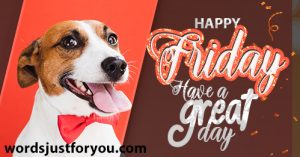 Happy Friday - Have A Great Day