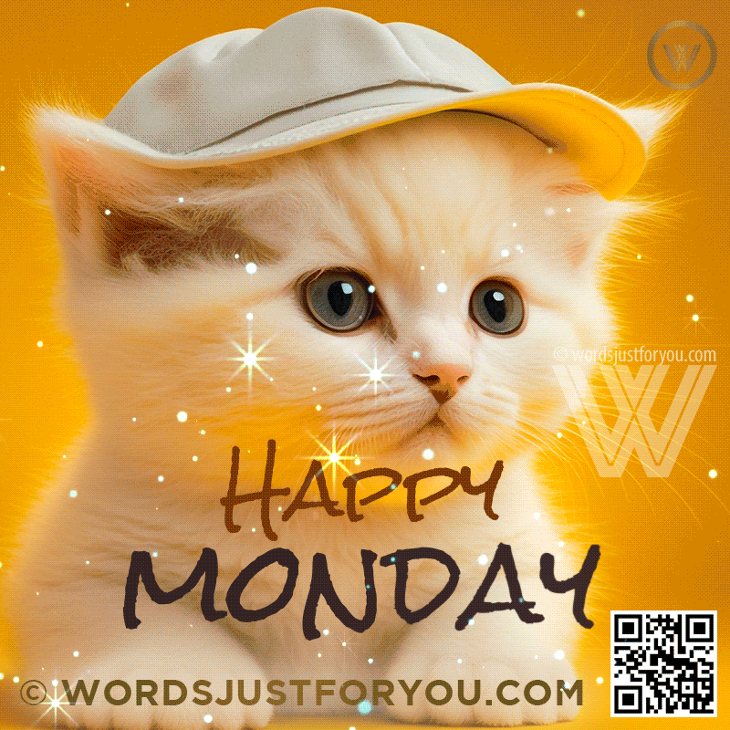 Beautiful Cute Kitten Happy Monday Image Gif - Cute Happy Monday Gif