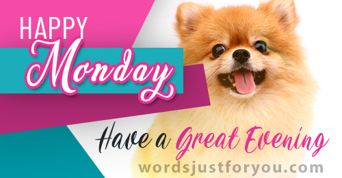 Happy Monday - Have A Great Evening