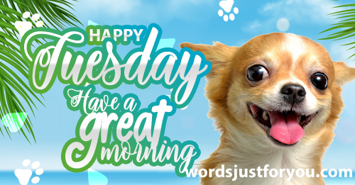 Happy Monday - Have A Great Morning