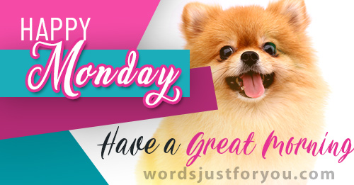 Happy Monday - Have A Great Morning