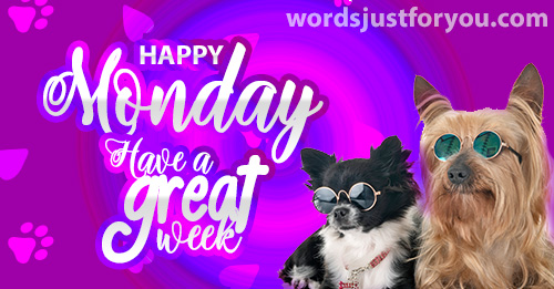 Happy Monday - Have A Great Week