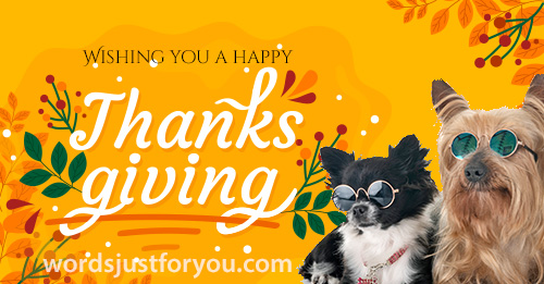 Happy Thanksgiving Card With Dogs