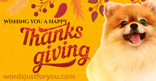 Happy Thanksgiving Card With Dog
