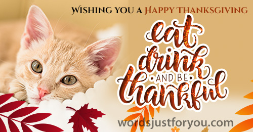 Happy Thanksgiving Card With Cat