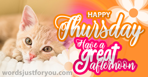 Happy Thursday - Have A Great Afternoon