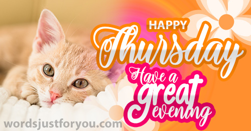 Happy Thursday - Have A Great Evening