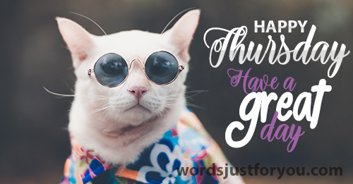 Happy Wednesday - Have A Great Day