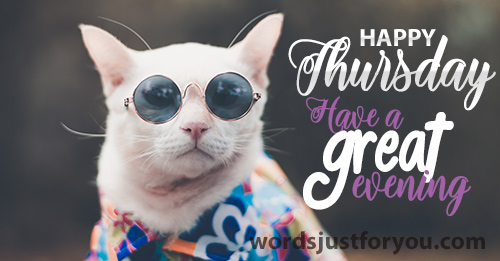 Happy Wednesday - Have A Great Evening