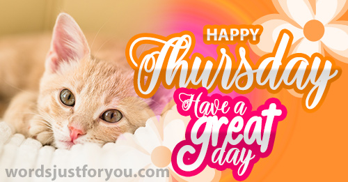 Happy Thursday - Have A Great Day