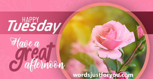 Happy Tuesday Image - Have A Great Afternoon