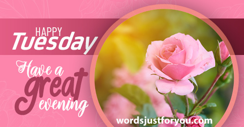 Happy Tuesday Have A Great Evening