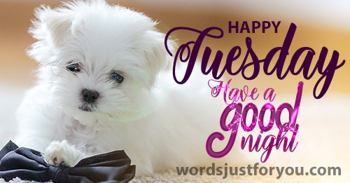Happy Tuesday Image - 5513 5