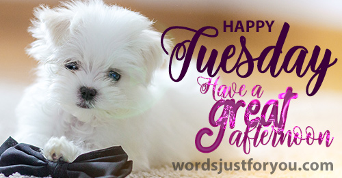 Happy Tuesday Image - 5513 3