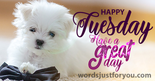 Happy Tuesday Image - 5513 1