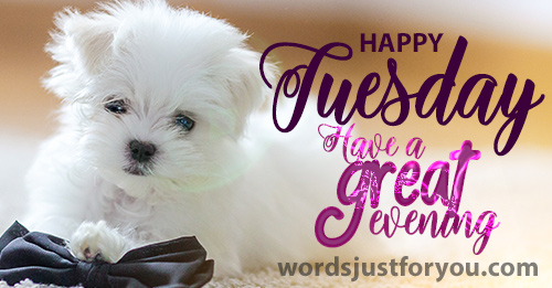 Happy Tuesday Image - 5513 4