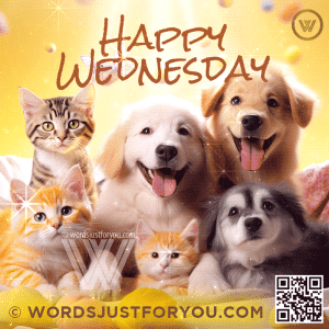 Beautiful Dogs And Cats Happy Wednesday Image Gif New