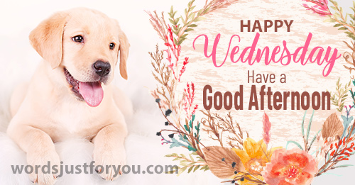 Happy Wednesday Image - Have A Good Afternoon