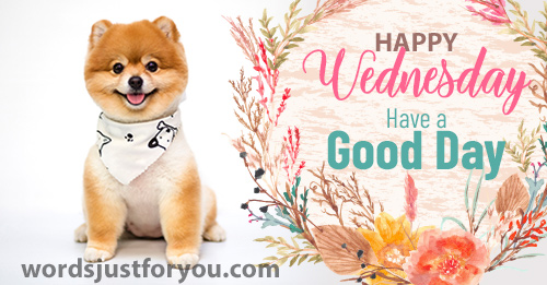 Happy Wednesday Image - Have A Good Day