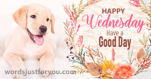 Happy Wednesday Image - Have A Good Day
