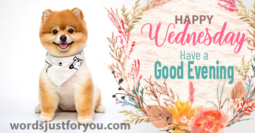 Happy Wednesday Image - Have A Good Evening