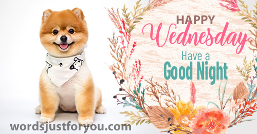 Happy Wednesday Image - Have A Good Afternoon