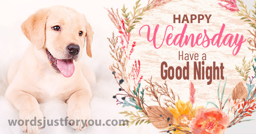 Happy Wednesday Image - Have A Good Night