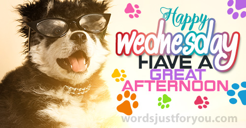 Happy Wednesday - Have A Great Afternoon