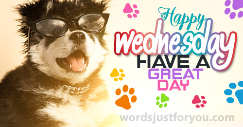 Happy Wednesday Image - 5483 » Wordsjustforyou.Com - Original Creative  Animated Gifs