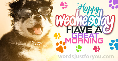 Happy Wednesday - Have A Great Morning