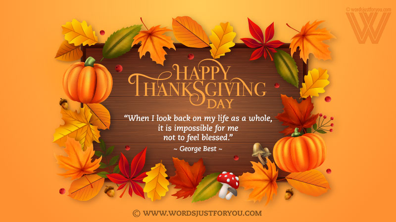 Thankful Quote