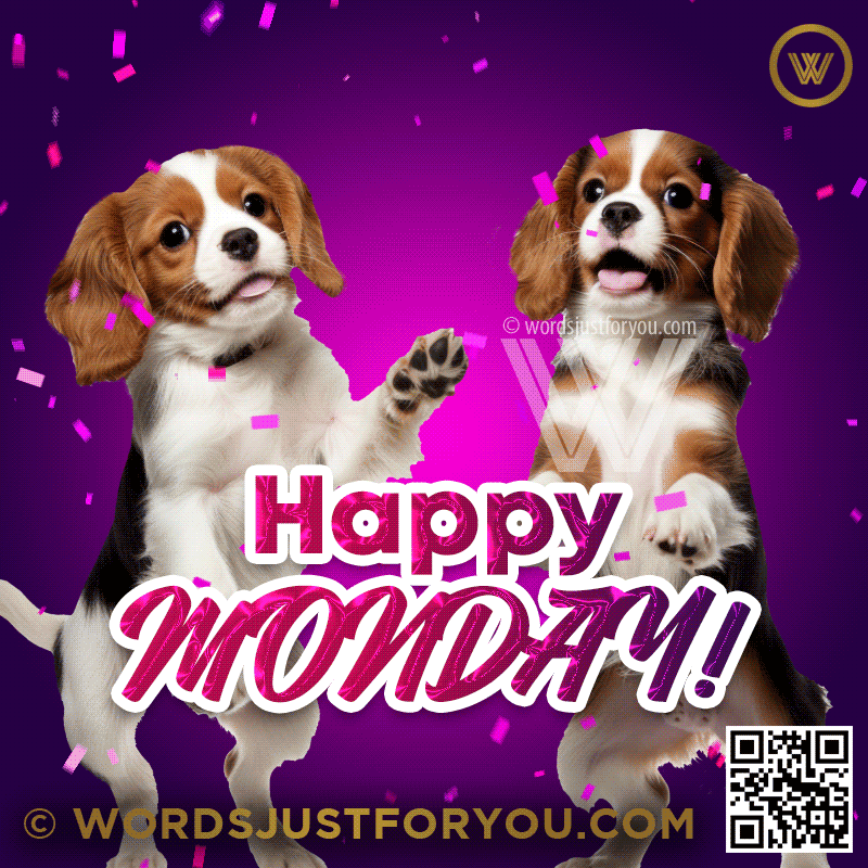 Funny Cute Monday Gif Happy Monday Happy GIF Monday Happy Dog