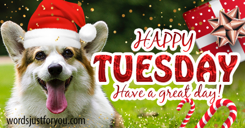 Happy Tuesday Image - 5583 » - Original Animated GIFs And Images Happy Tuesday Image - 5583 » - Original Animated GIFs And Images